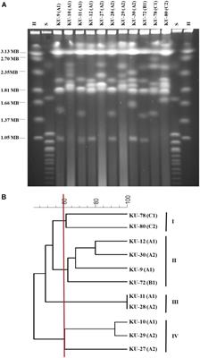 Debaryomyces hansenii Strains Isolated From Danish Cheese Brines Act as Biocontrol Agents to Inhibit Germination and Growth of Contaminating Molds